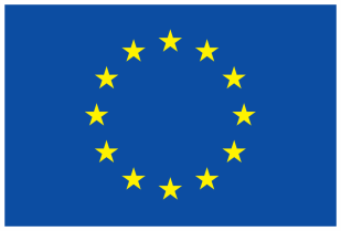 ИвГУ продолжает работу по реализации гранта Европейской Комиссии