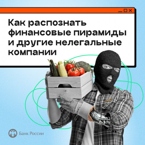 Как распознать финансовые пирамиды и другие нелегальные компании