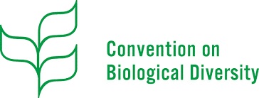 Наше участие в VII Международной научной конференции «Принципы и способы сохранения биоразнообразия»