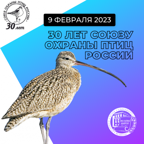 9 февраля Союзу охраны птиц России исполняется 30 лет
