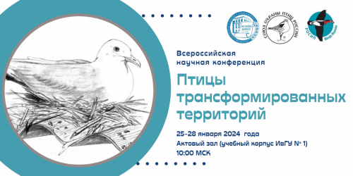 Приглашаем на Всероссийскую конференцию «Птицы трансформированных территорий»!